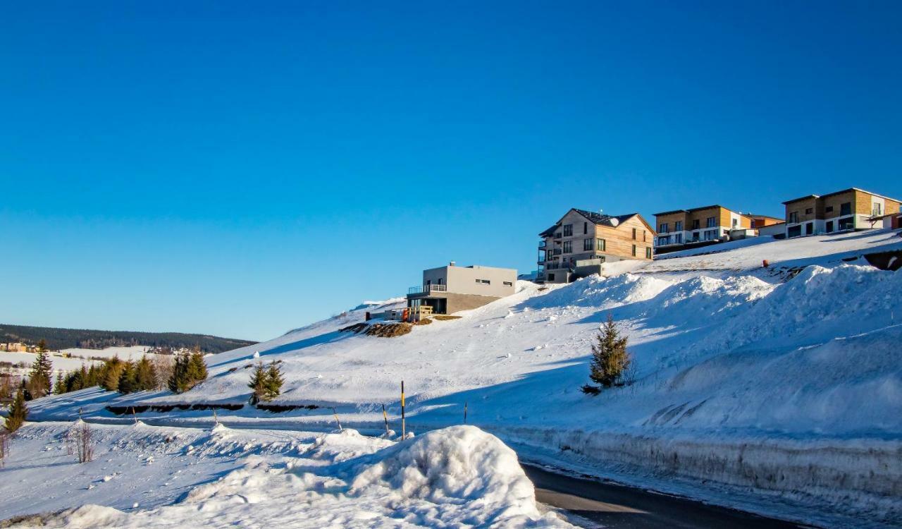Wellness Villa Klinovec Views Лоучна-под-Клиновцем Экстерьер фото